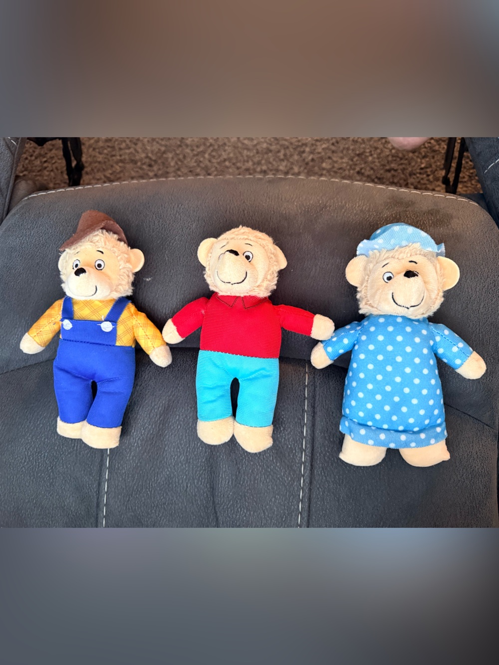 Berenstain  Bear Family Set - papa mama and brother